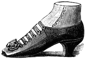 Victorian Shoes